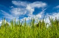 Agricultural plots landscape